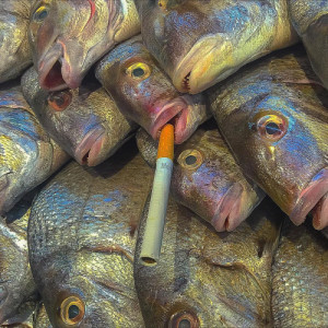 poissons-fumes